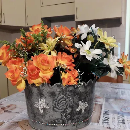 La Casa Di Terry Borgo Storico Centro Citta Bergamo